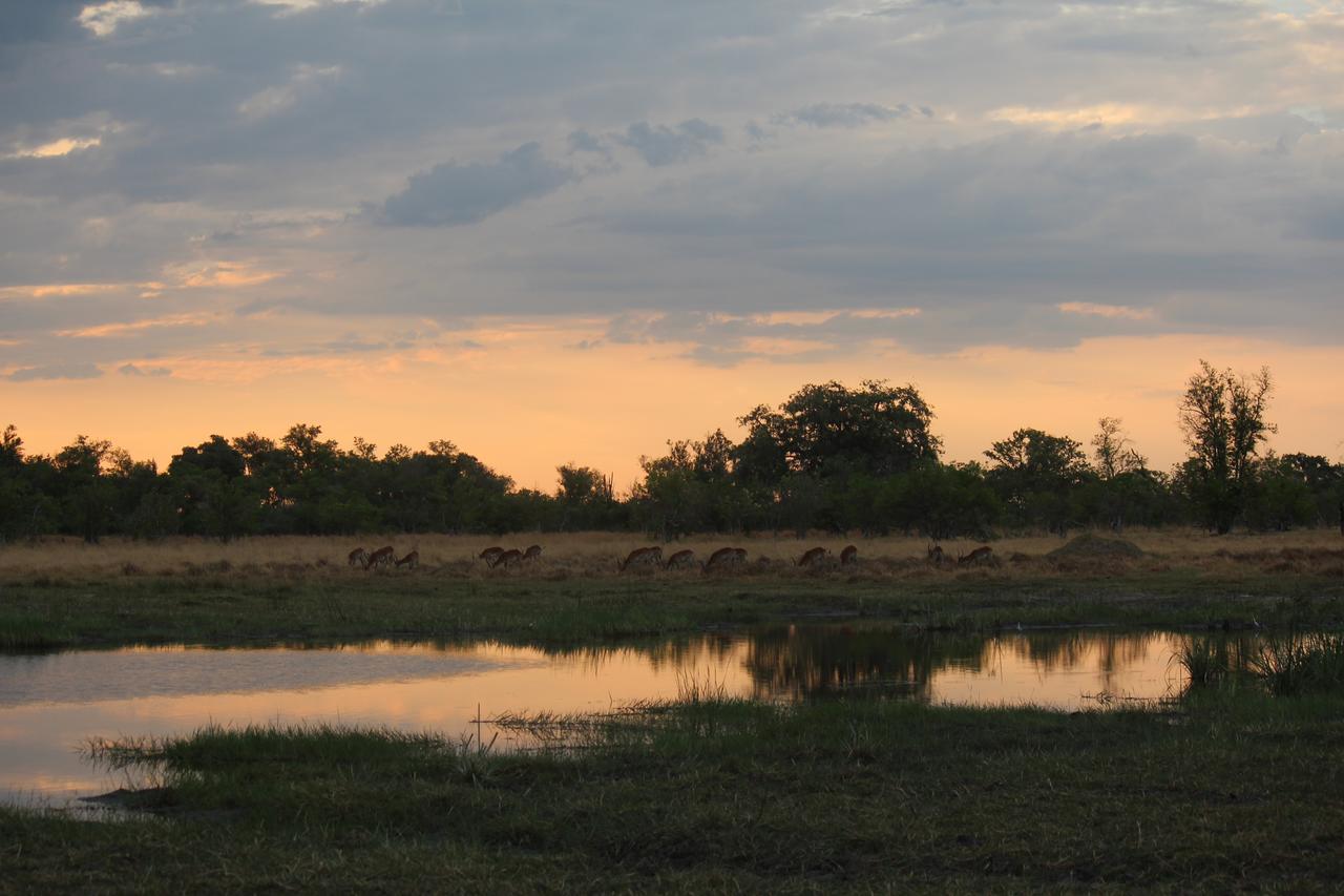 Cresta Maun Hotel Esterno foto