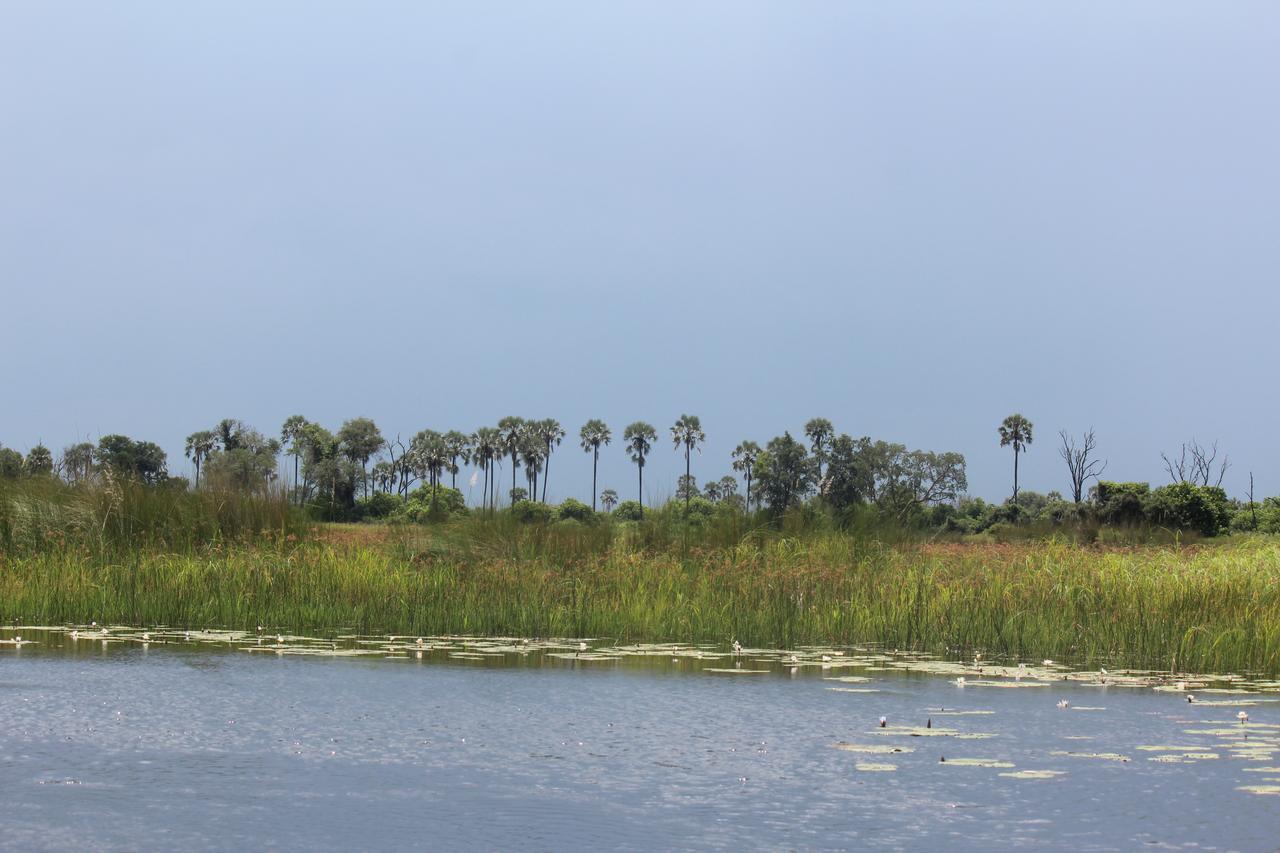 Cresta Maun Hotel Esterno foto